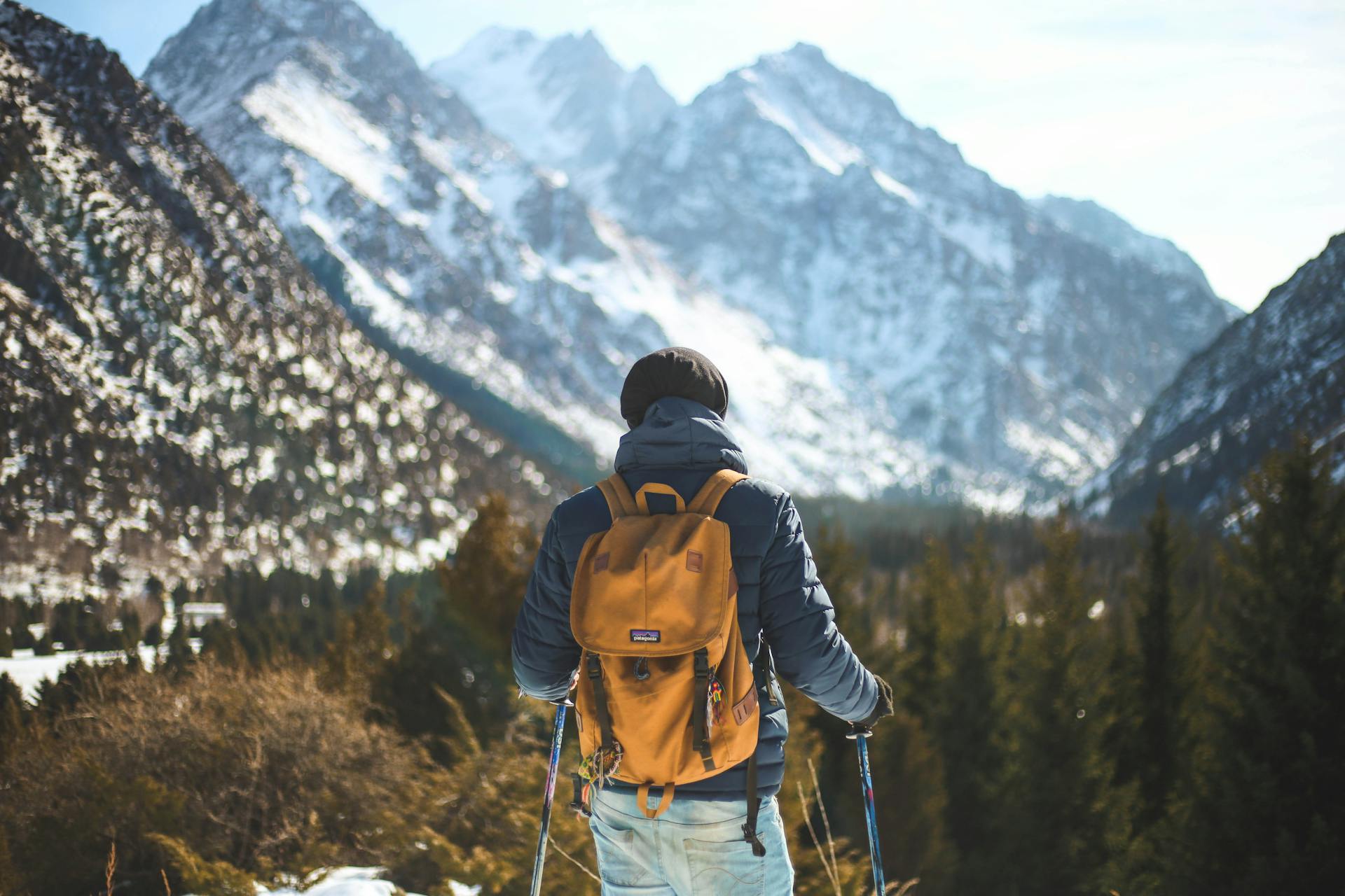 pexels-ozgomz-868097