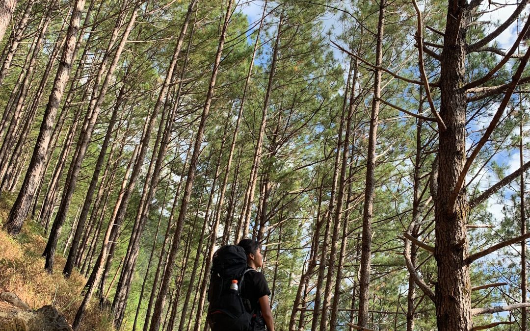 How to Get Closer to Nature Without Disturbing Wildlife